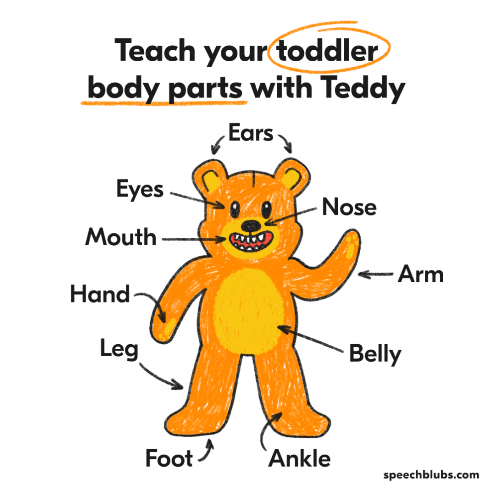 Fun & Easy Ways to Teach Body Parts for Toddlers | Speech Blubs