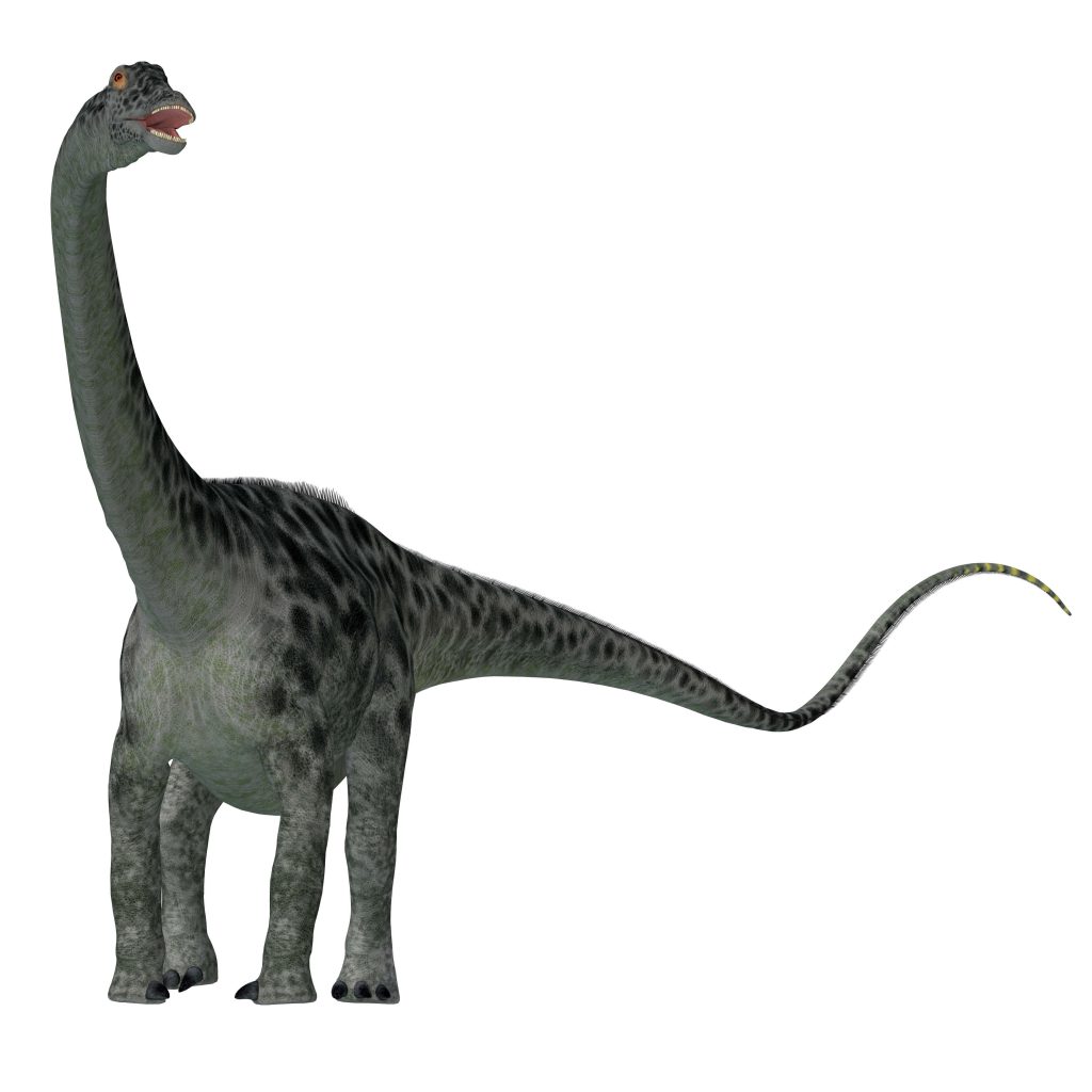 dinosaur names diplodocus