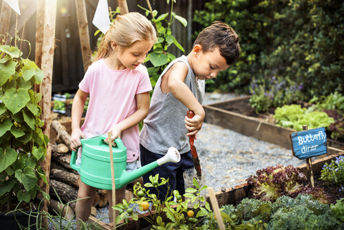 kids gardening